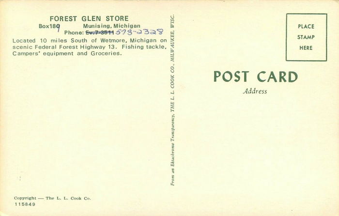 Forest Glen Store - Vintage Postcard